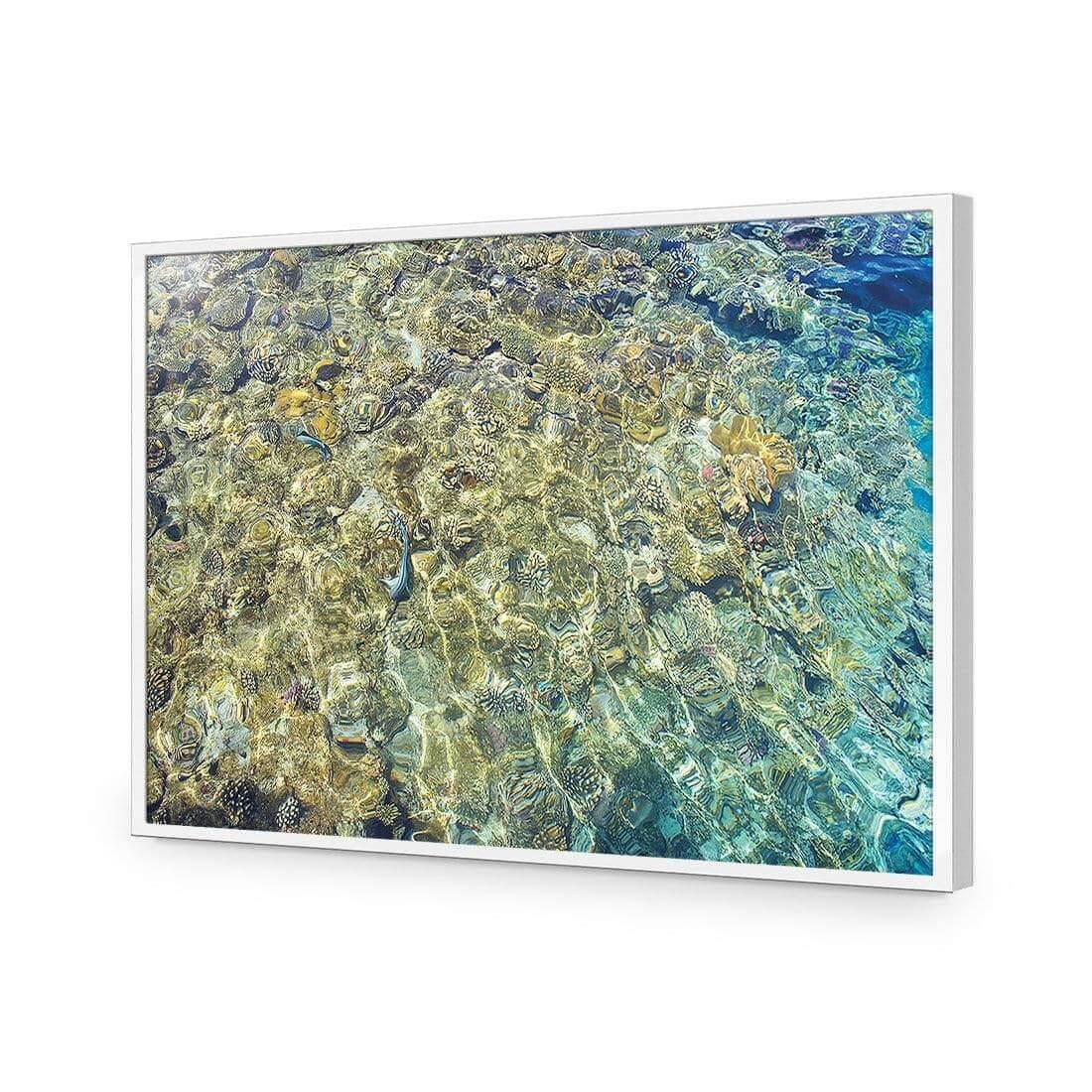 Coral Shallows