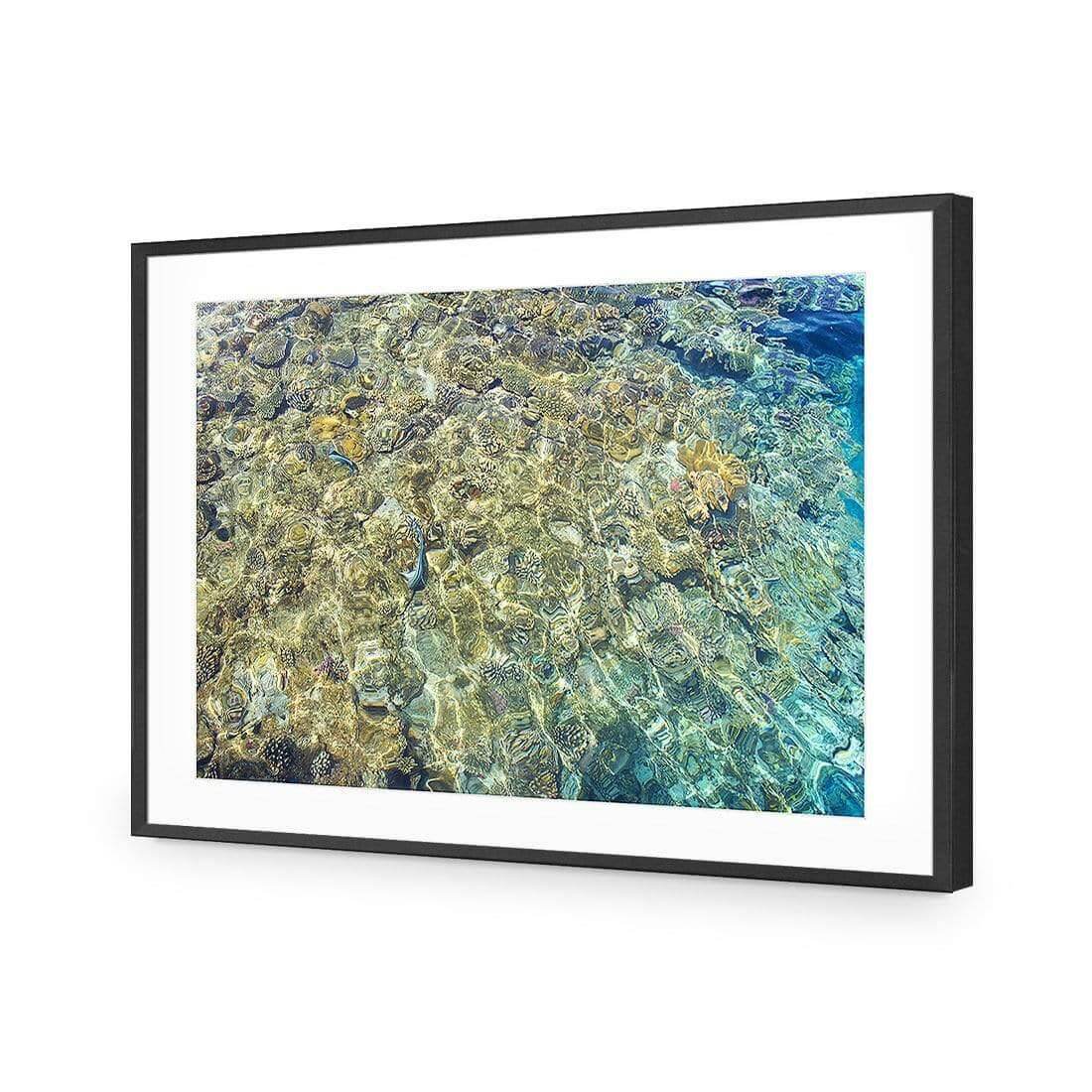 Coral Shallows