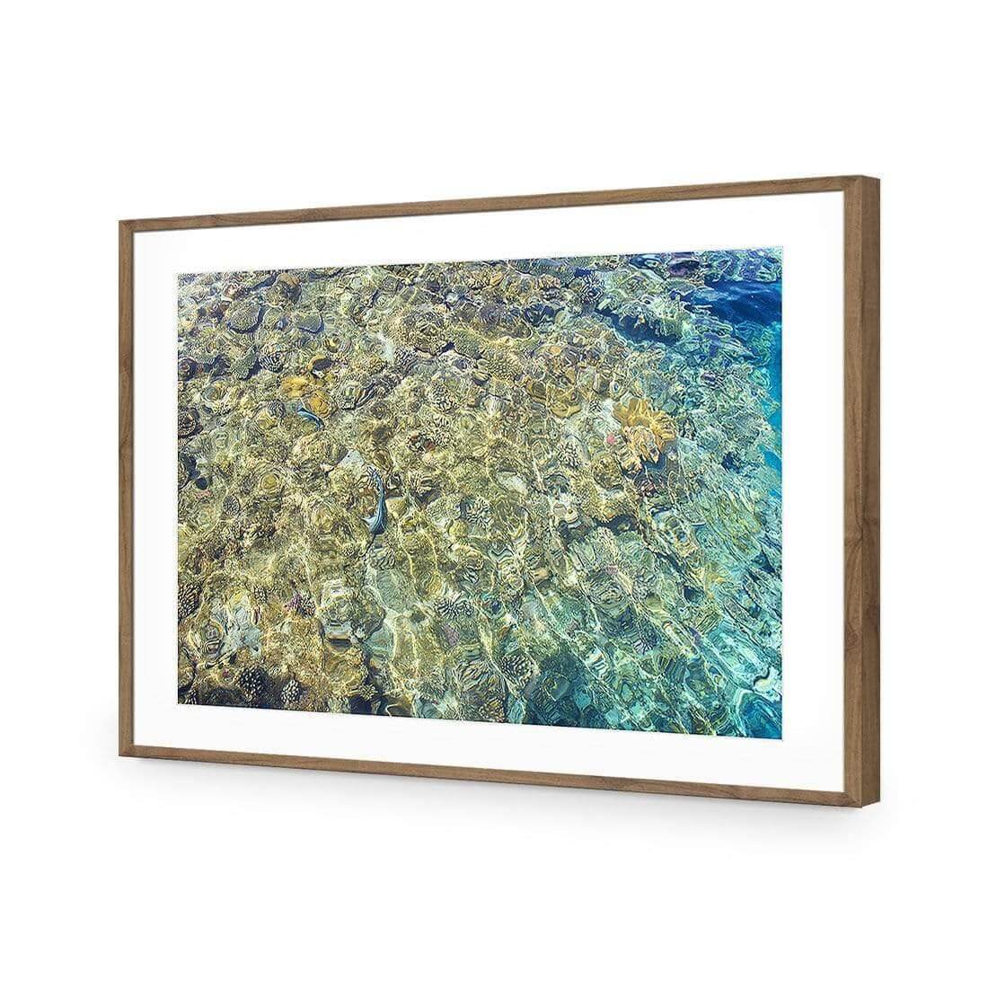 Coral Shallows