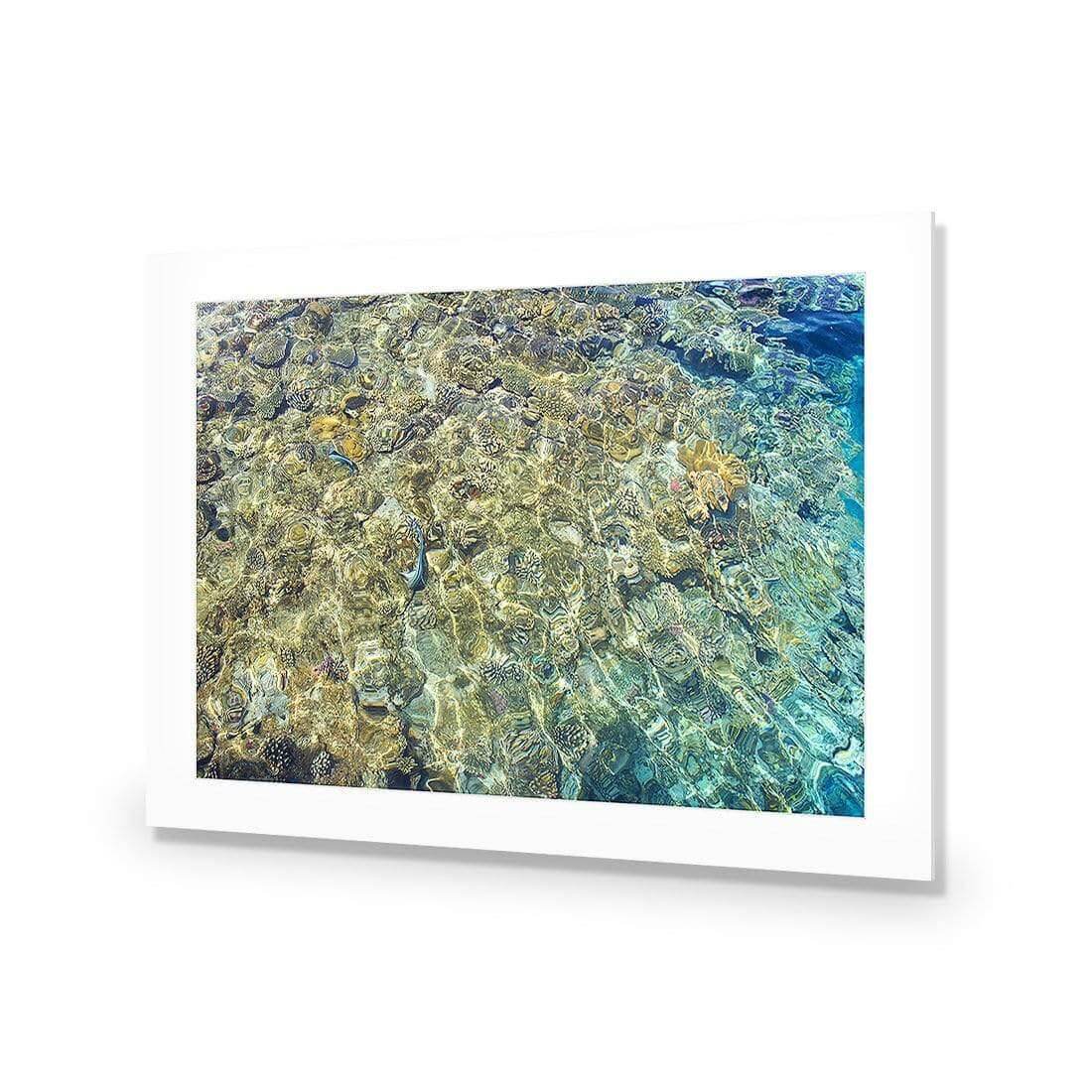Coral Shallows
