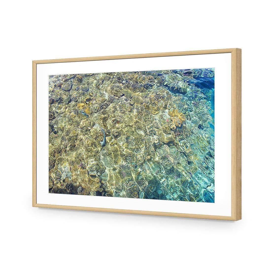 Coral Shallows
