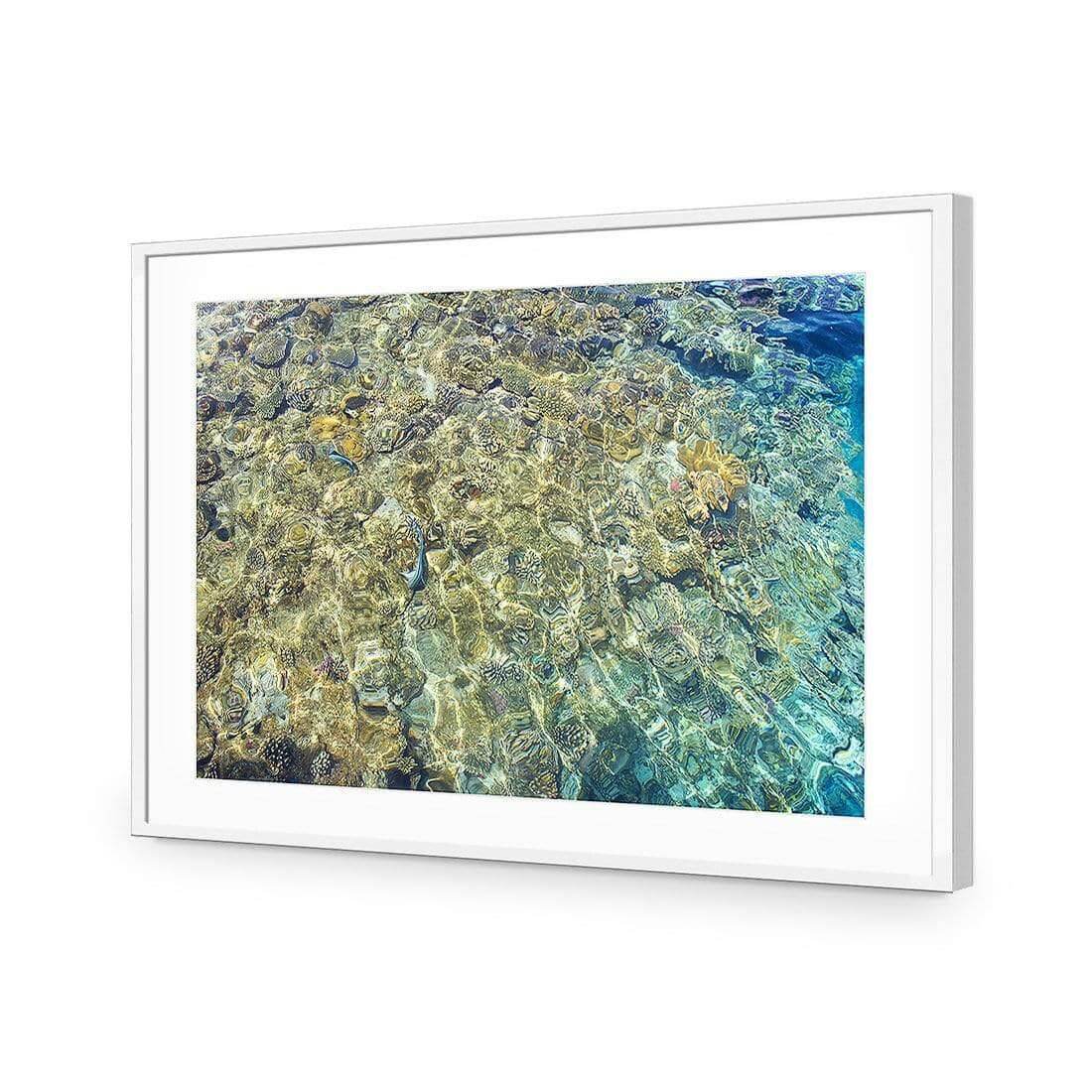 Coral Shallows