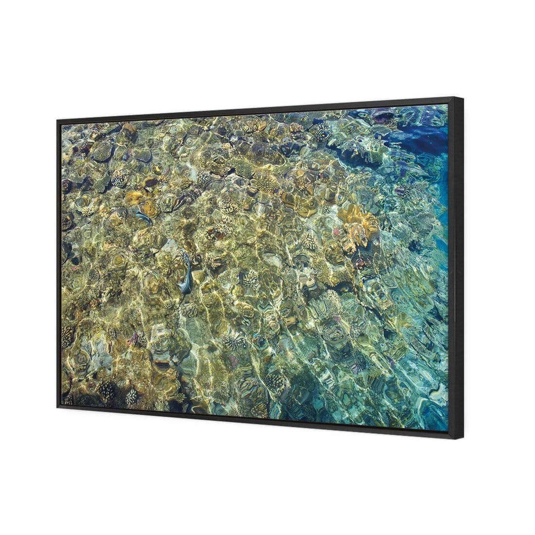 Coral Shallows