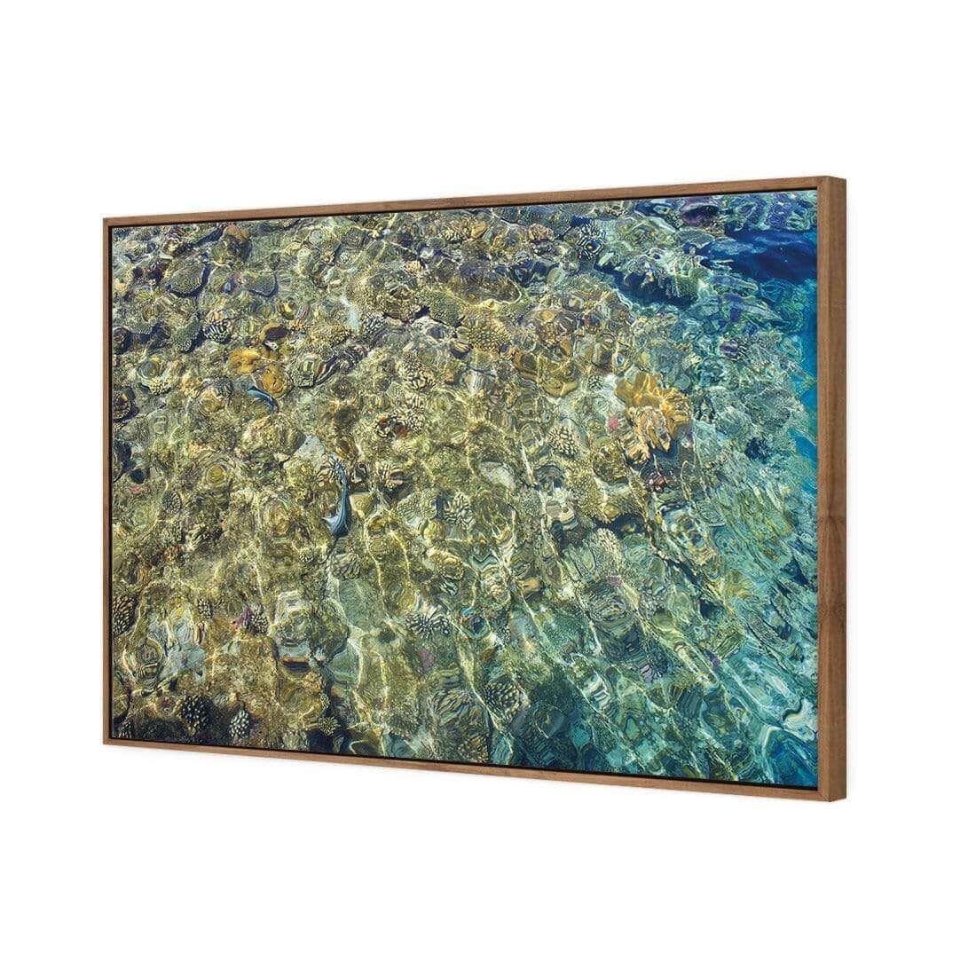 Coral Shallows