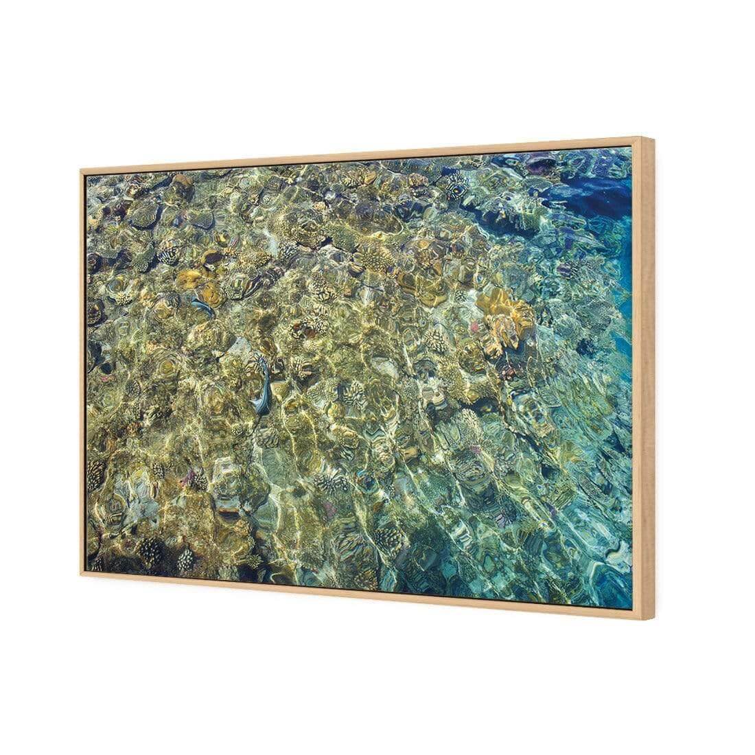 Coral Shallows