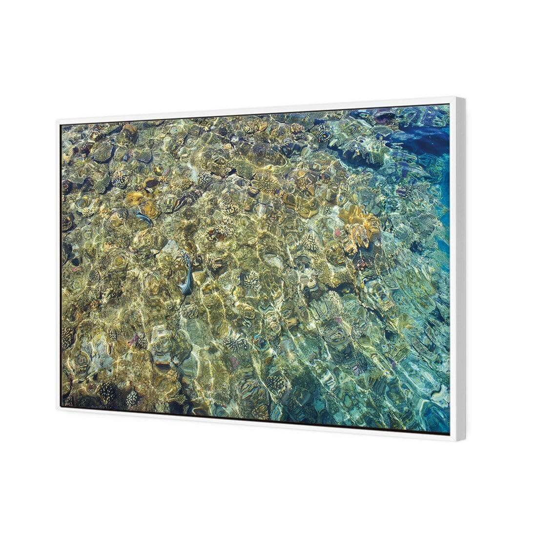 Coral Shallows