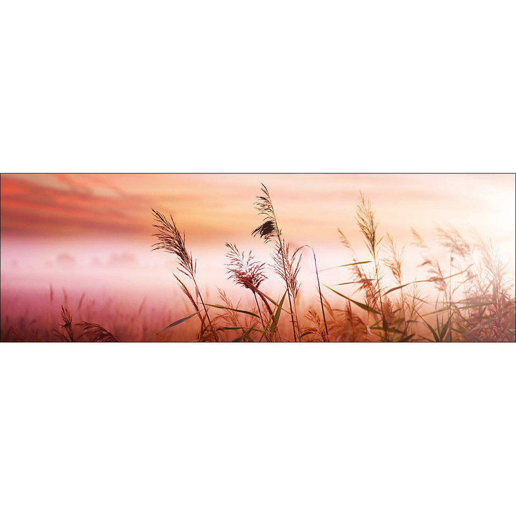 Corn Dusk Canvas Art