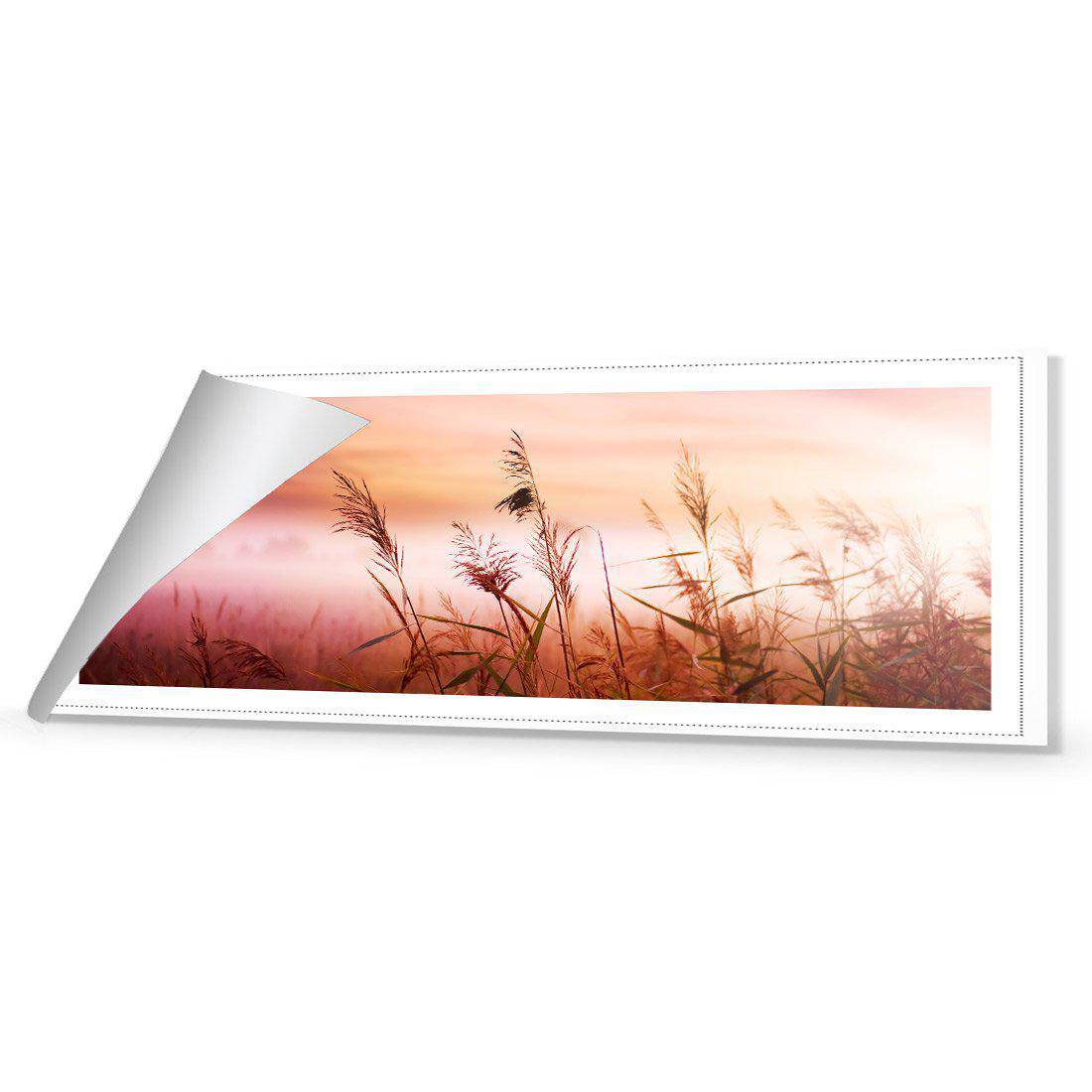 Corn Dusk Canvas Art