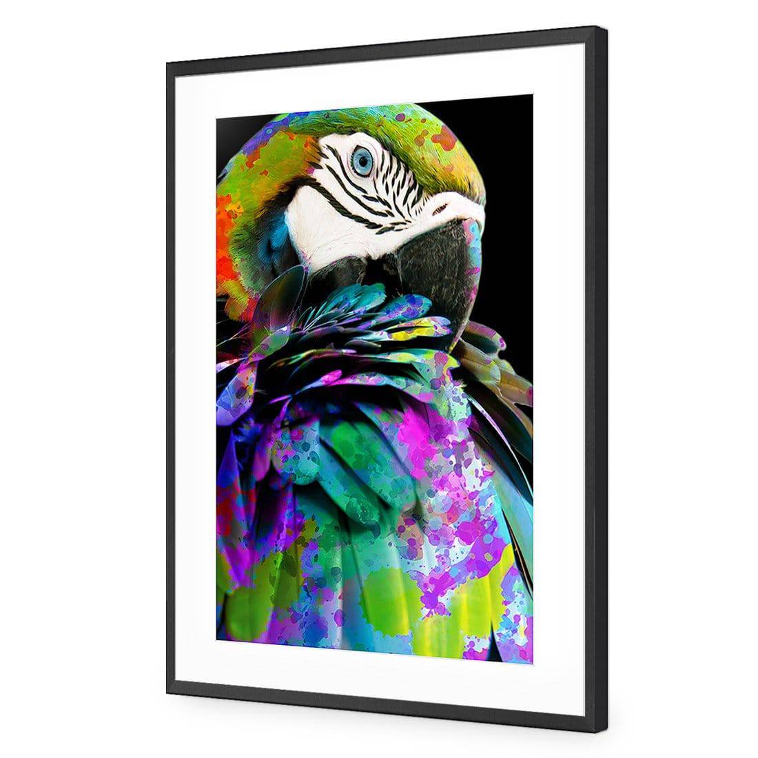 Coy Macaw Acrylic Print Art