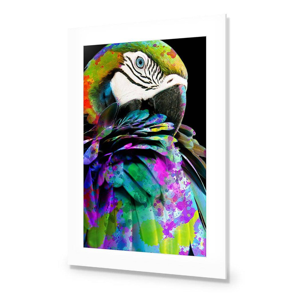 Coy Macaw Acrylic Print Art