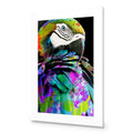 Coy Macaw Acrylic Print Art