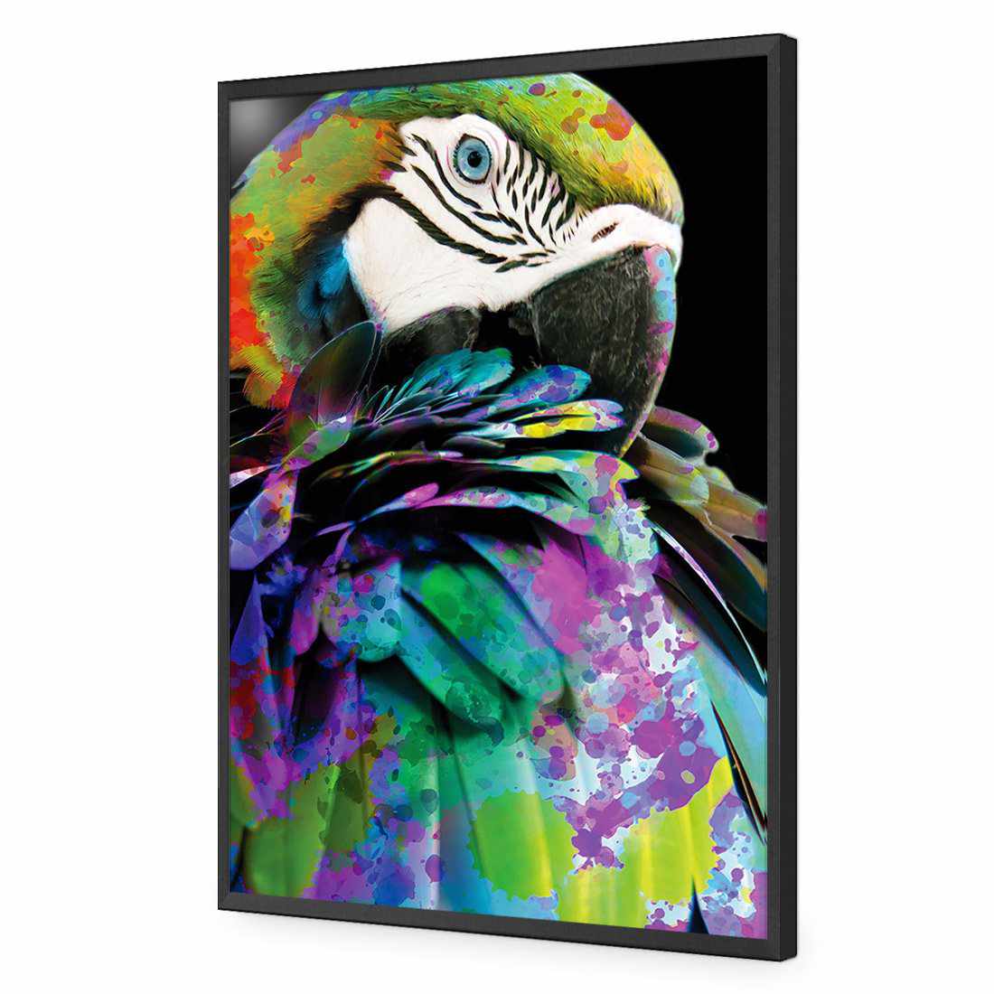 Coy Macaw Acrylic Print Art
