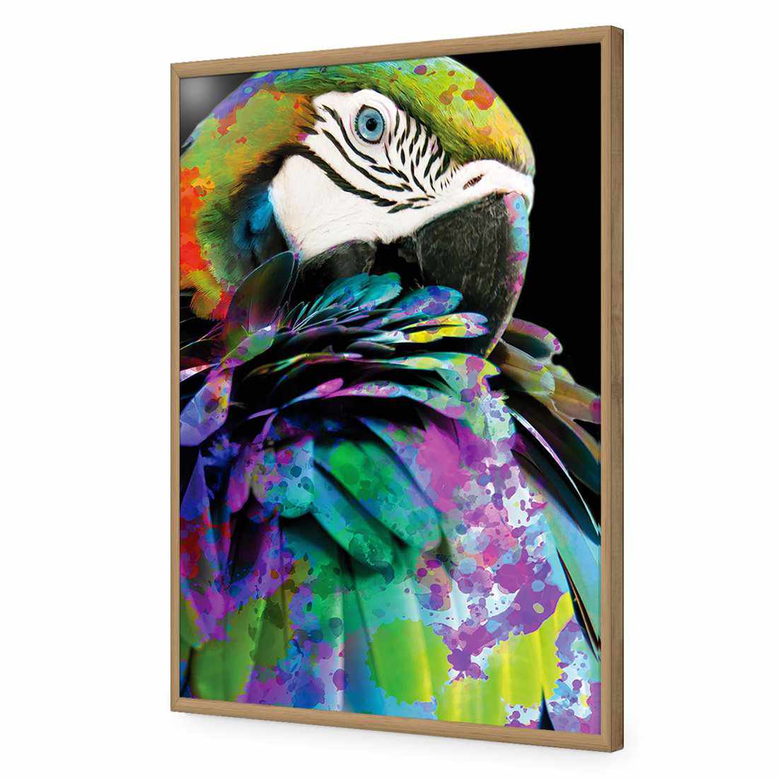 Coy Macaw Acrylic Print Art