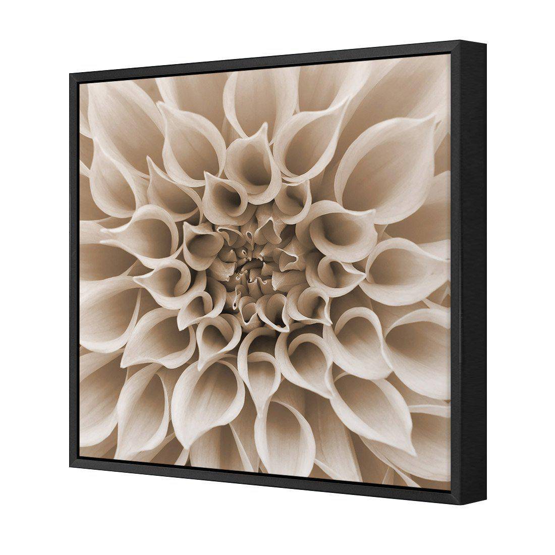Dahlia Delight, Sepia Canvas Art