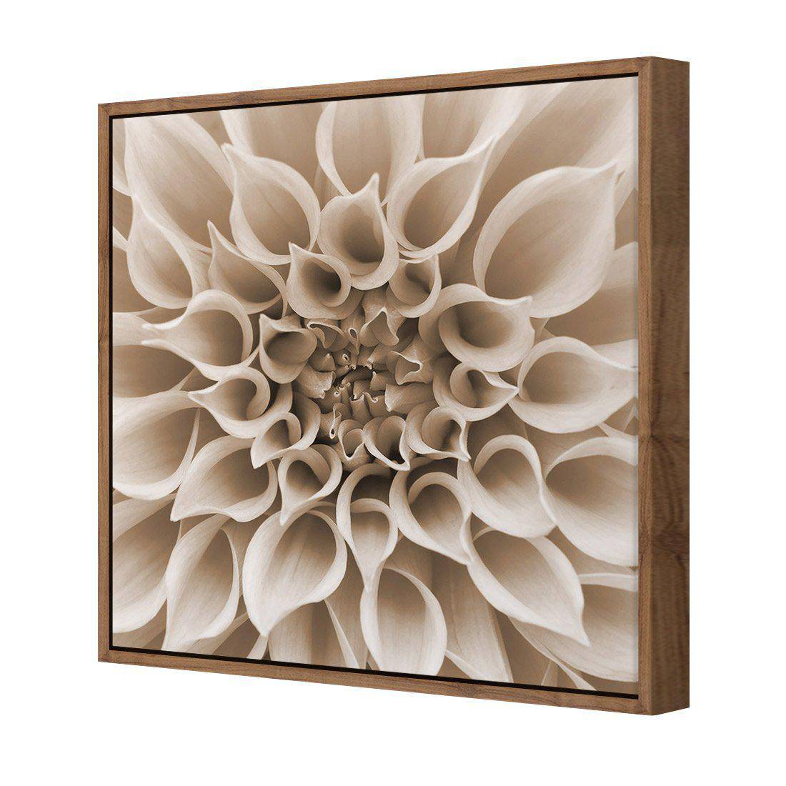 Dahlia Delight, Sepia Canvas Art