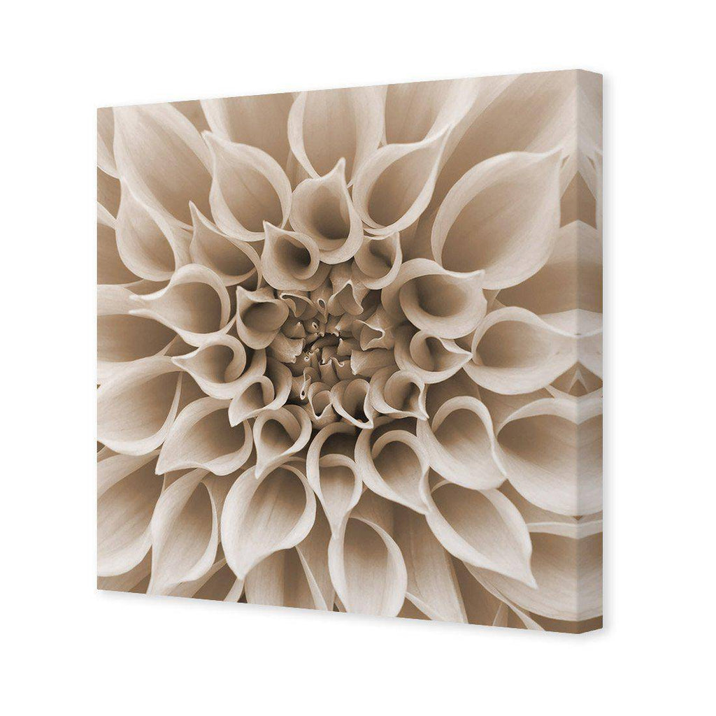 Dahlia Delight, Sepia Canvas Art