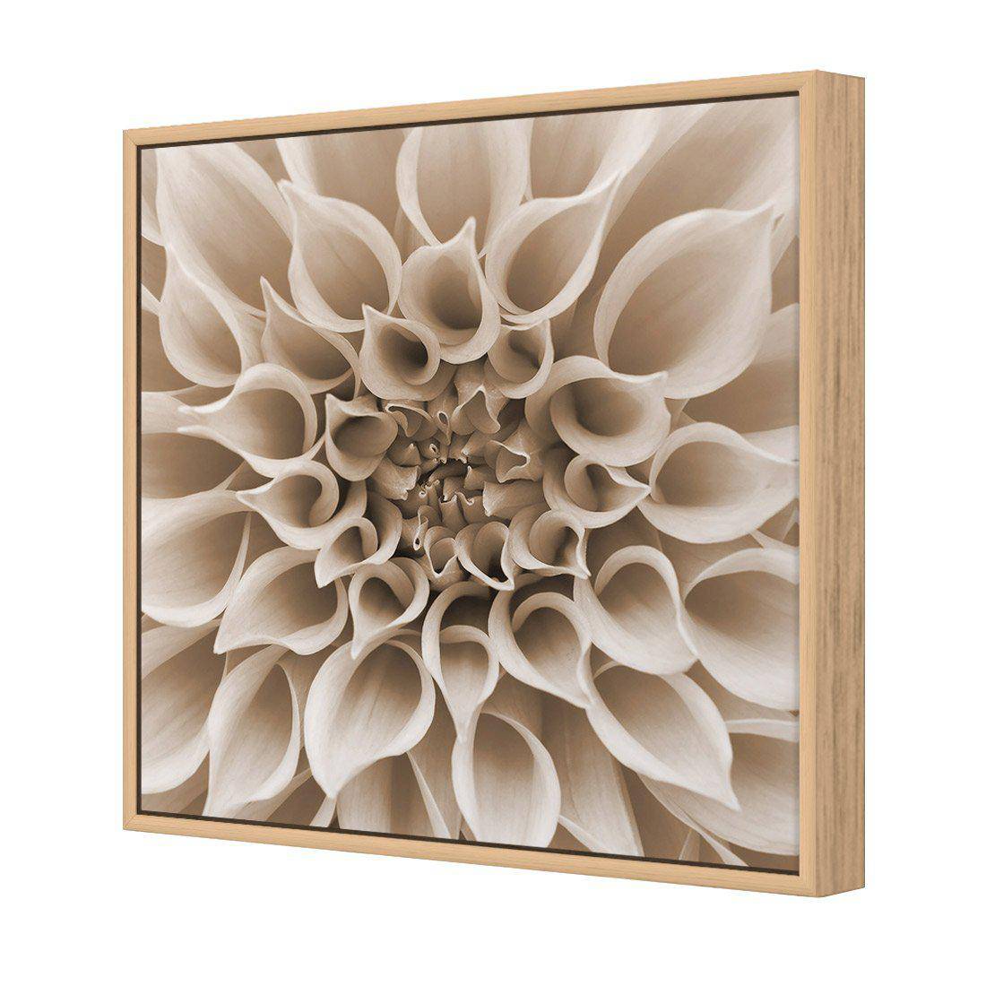 Dahlia Delight, Sepia Canvas Art