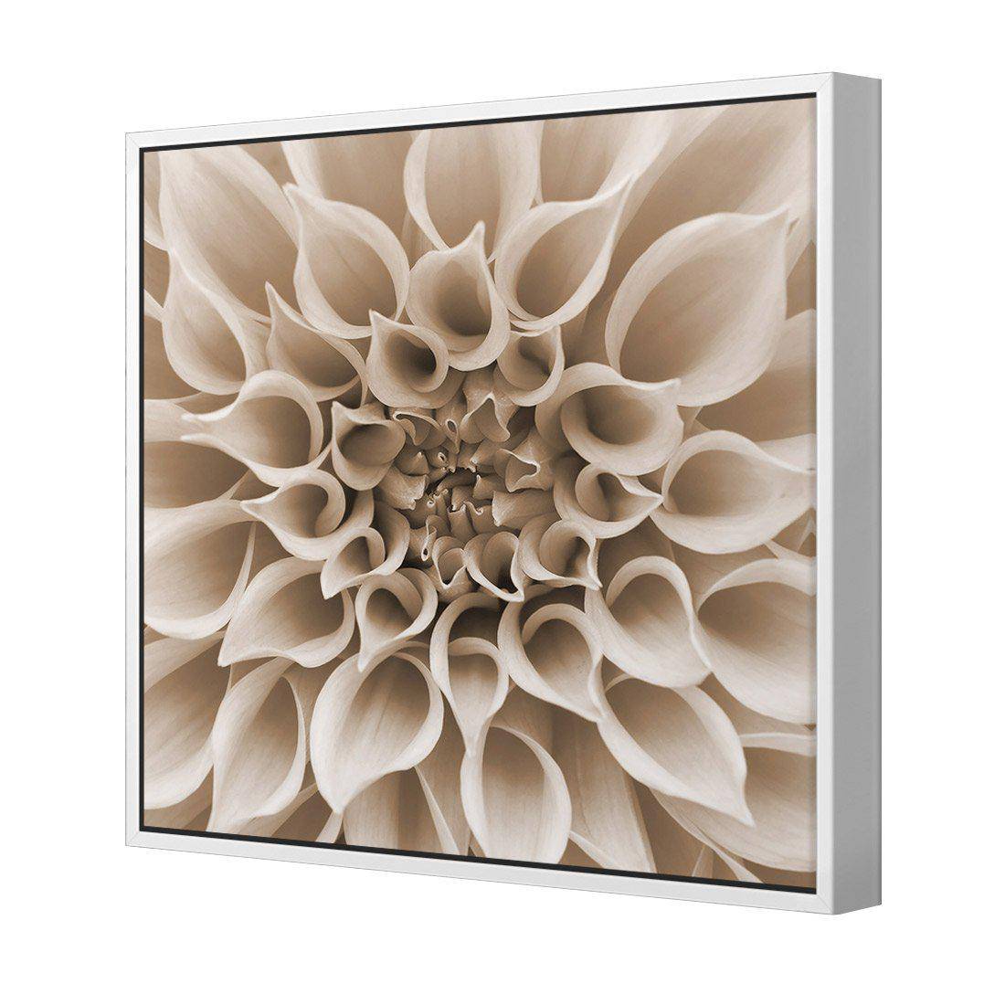Dahlia Delight, Sepia Canvas Art