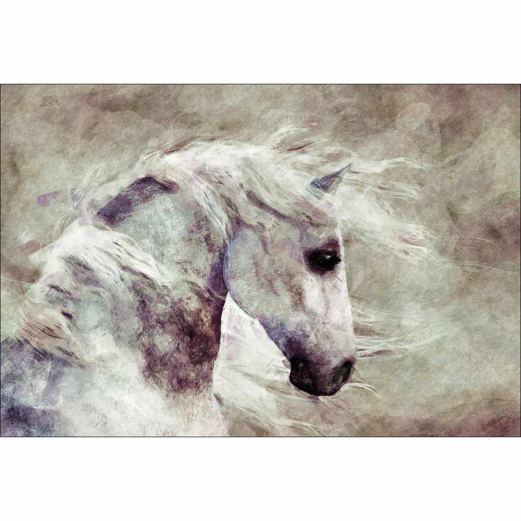 Dapple Grey Canvas Art
