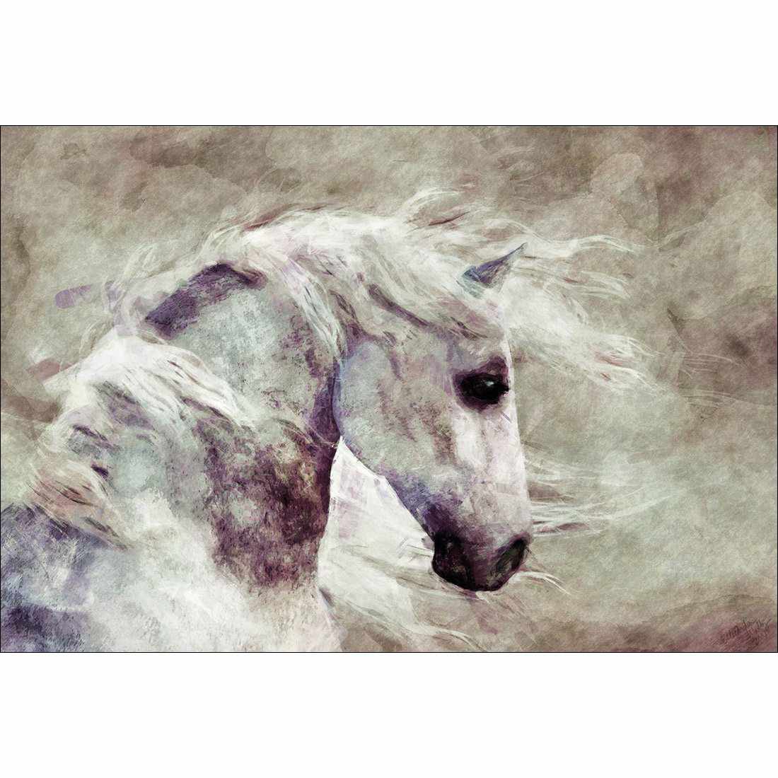 Dapple Grey Canvas Art