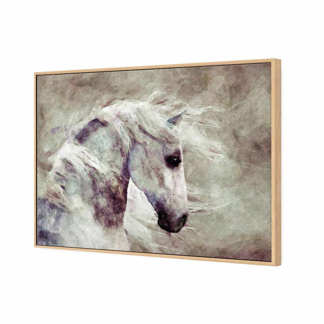 Dapple Grey Canvas Art