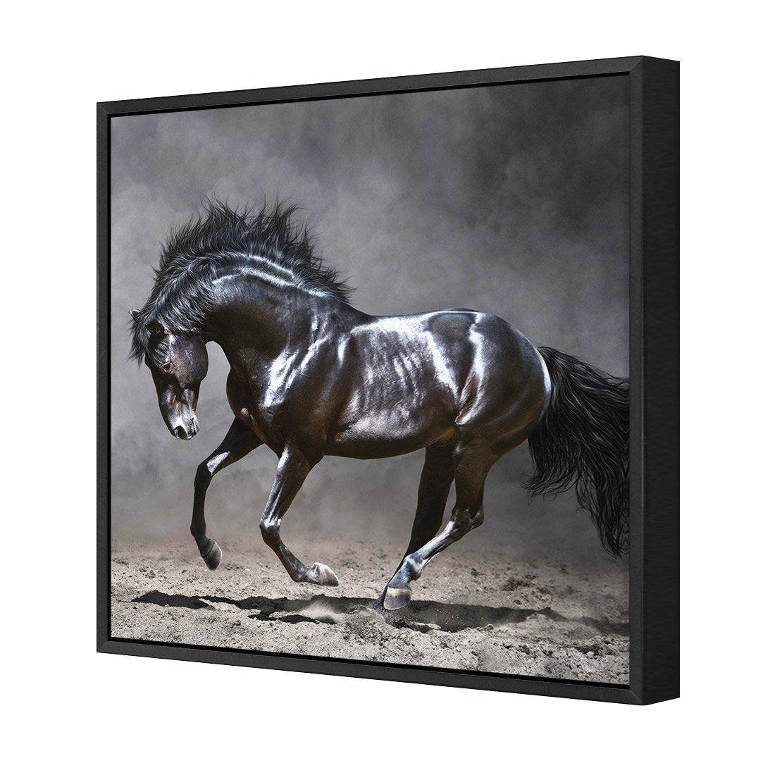 Dark Horse, Moonlight Canvas Art