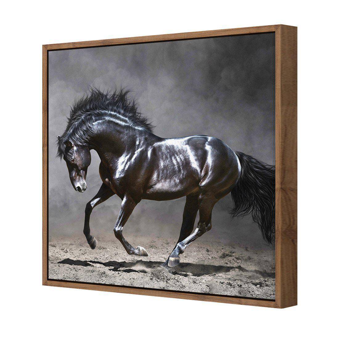 Dark Horse, Moonlight Canvas Art