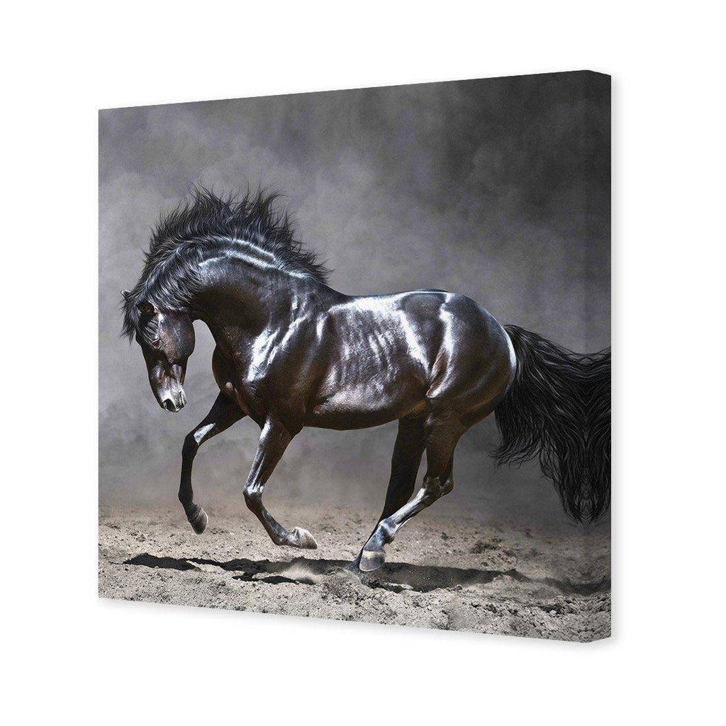 Dark Horse, Moonlight Canvas Art