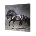 Dark Horse, Moonlight Canvas Art
