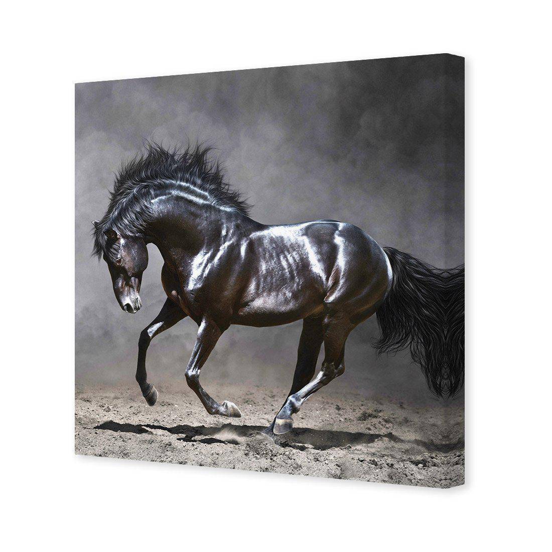 Dark Horse, Moonlight Canvas Art