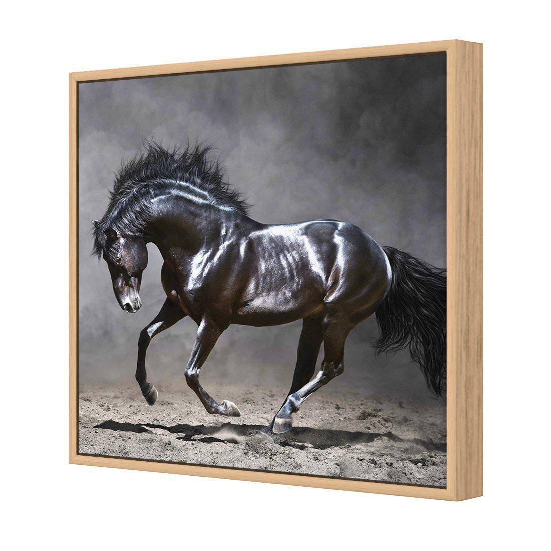 Dark Horse, Moonlight Canvas Art