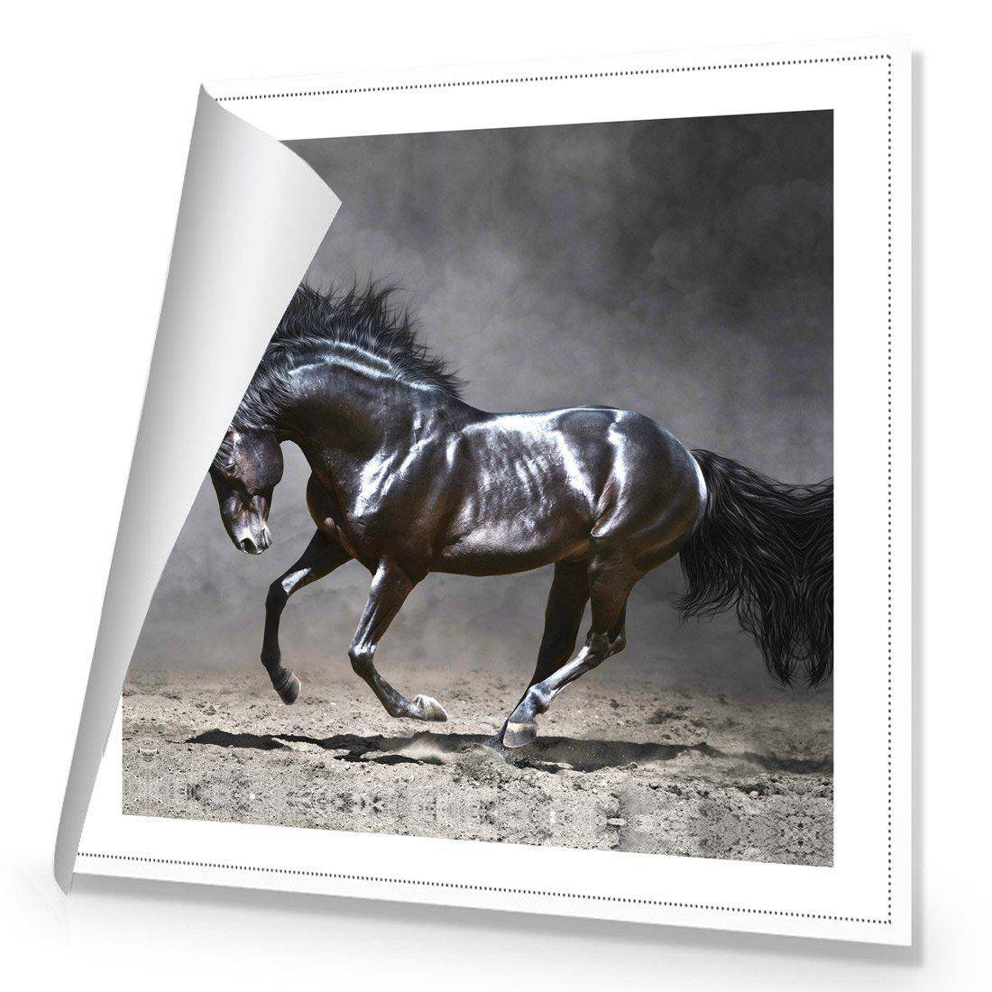 Dark Horse, Moonlight Canvas Art