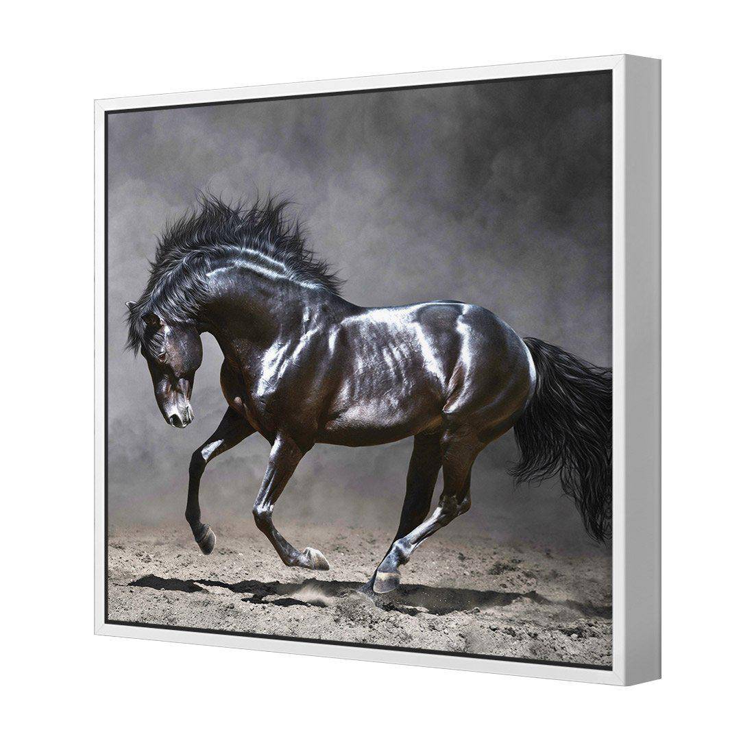 Dark Horse, Moonlight Canvas Art