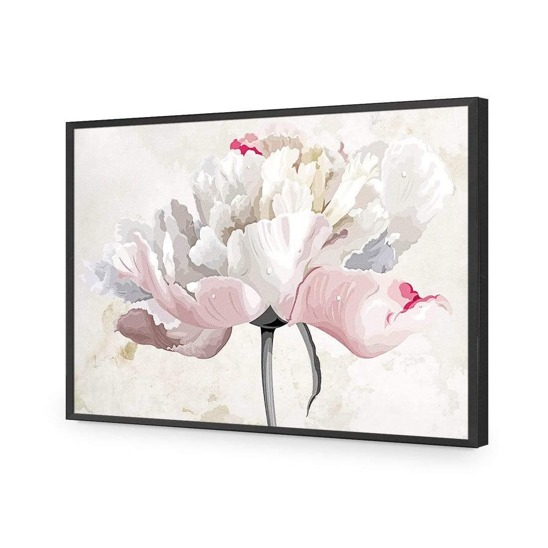 Delicate Bloom