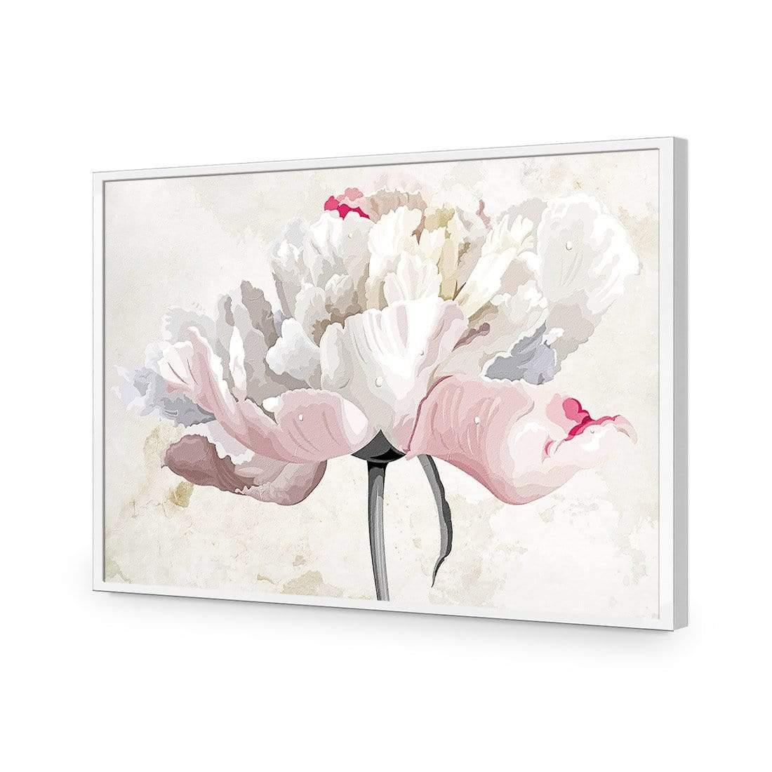 Delicate Bloom