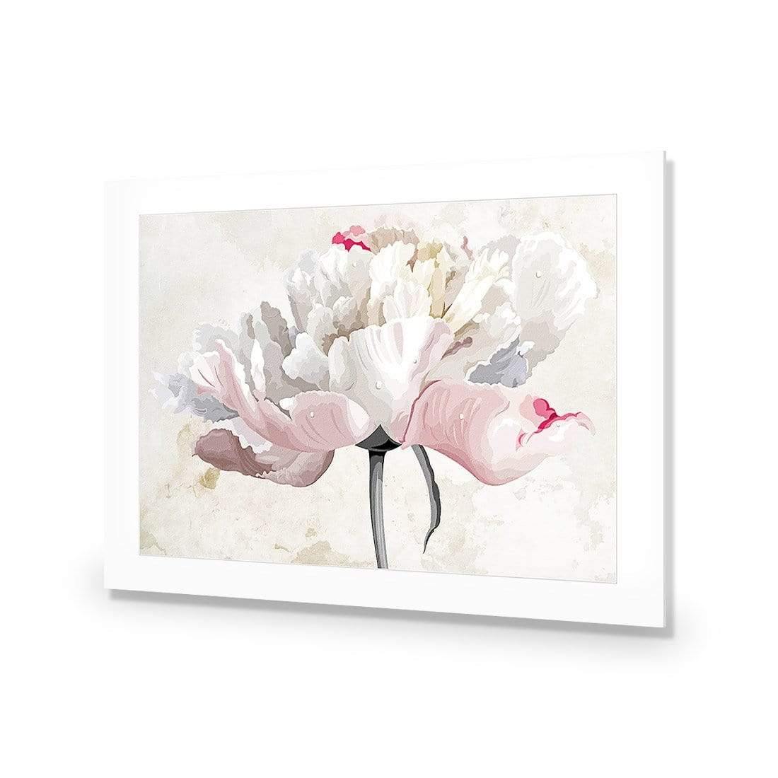 Delicate Bloom