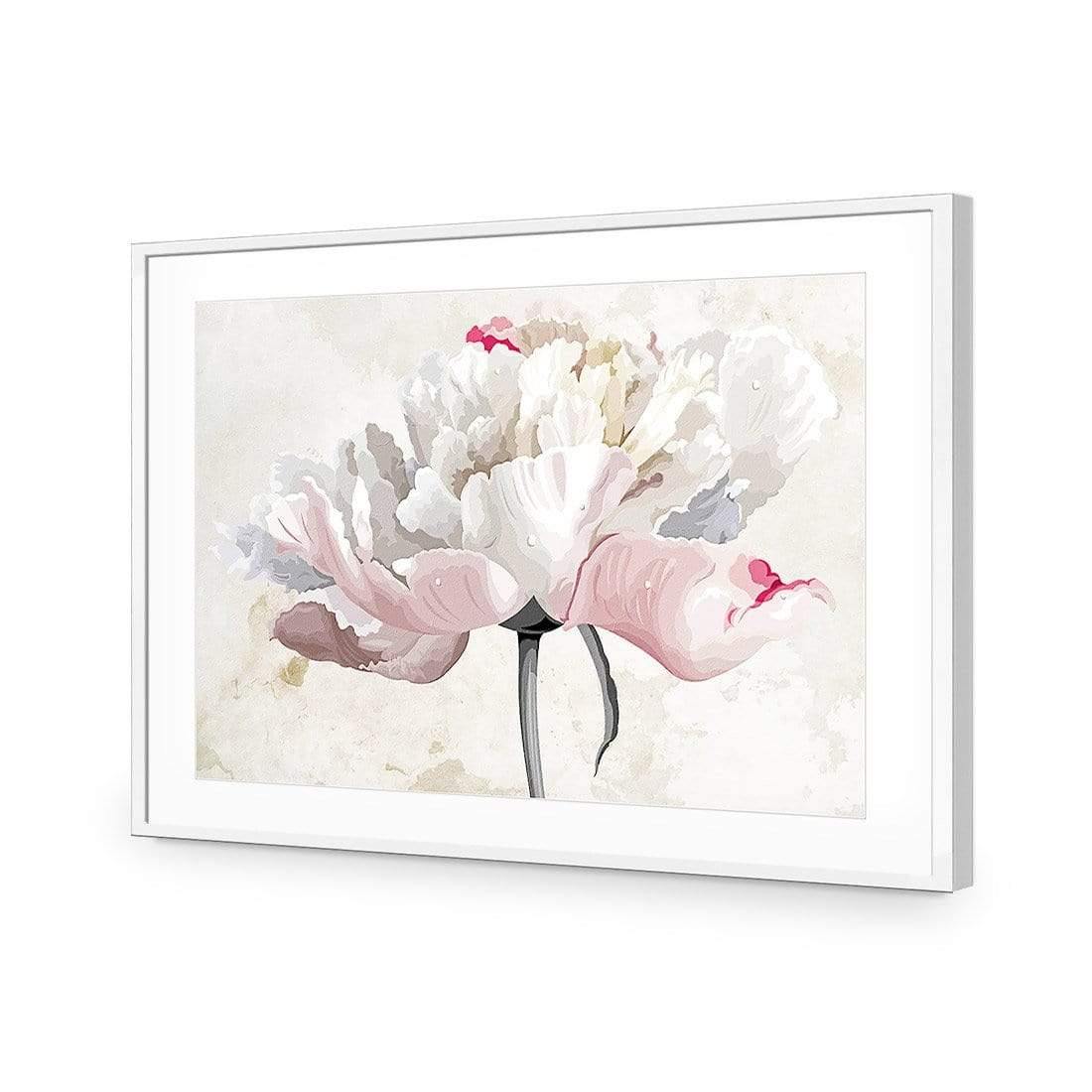 Delicate Bloom