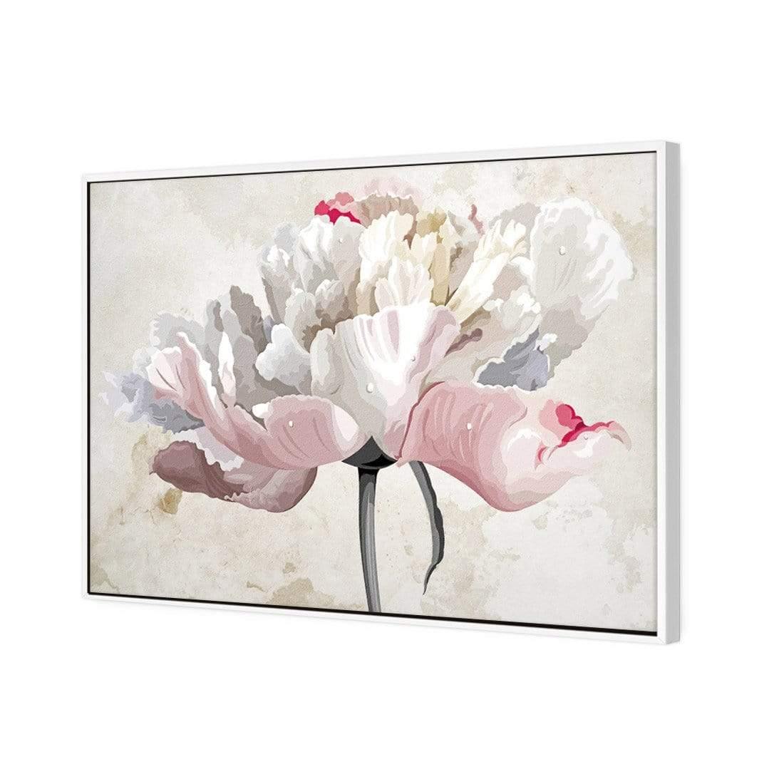 Delicate Bloom
