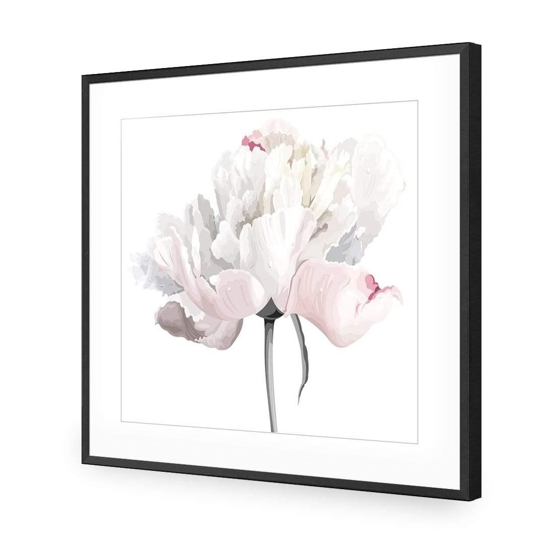 Delicate Bloom on White (Square)