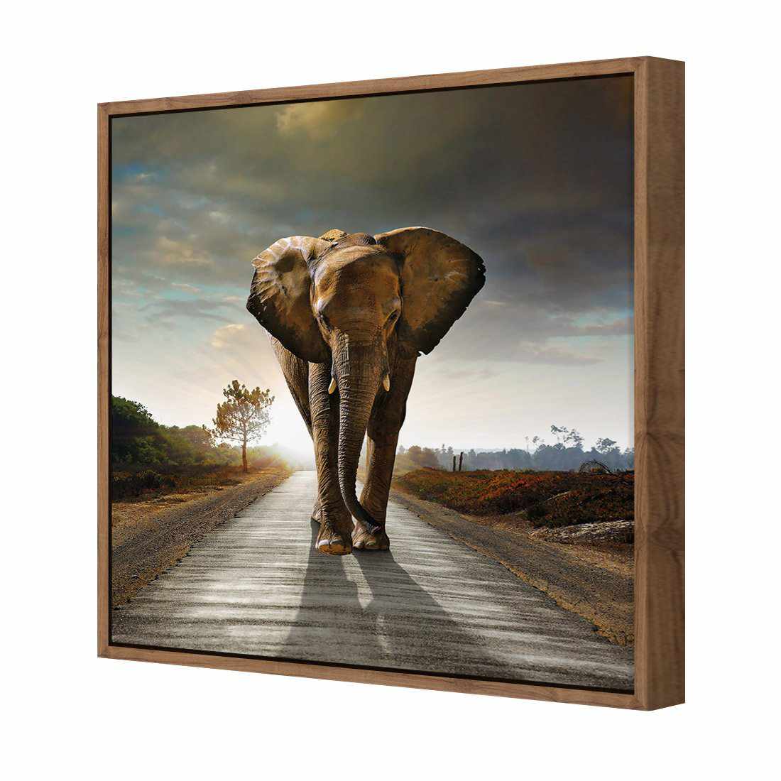 Determined Elephant Canvas Art