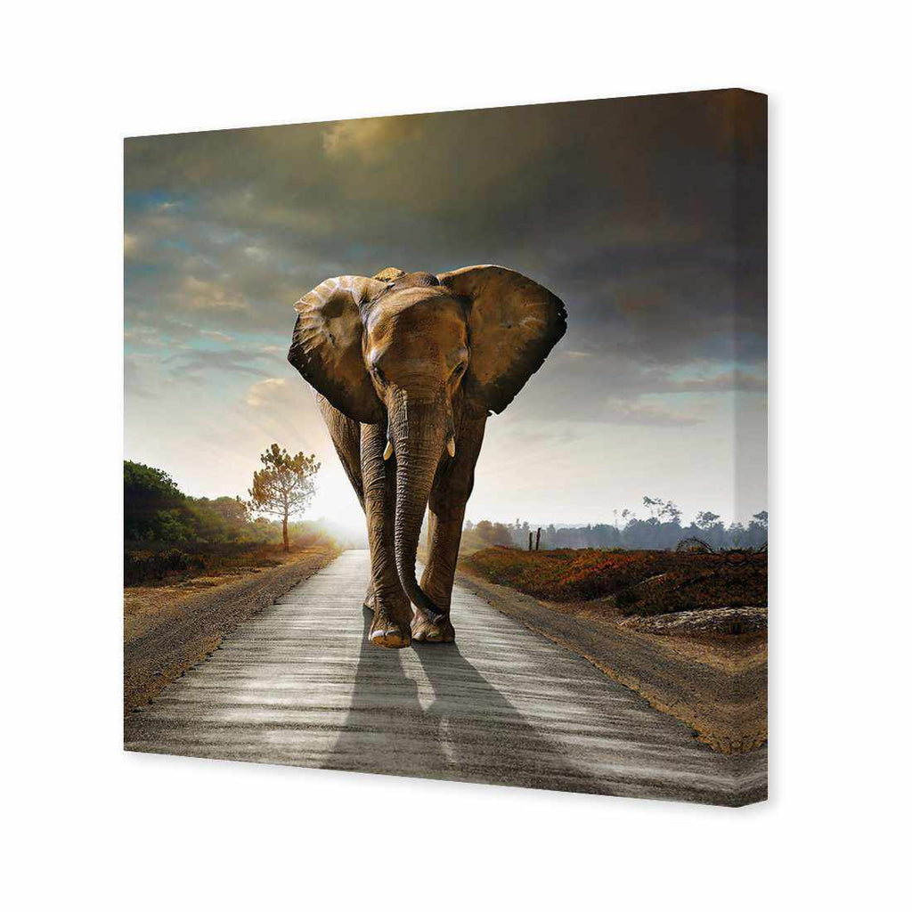 Determined Elephant Canvas Art