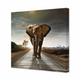 Determined Elephant Canvas Art
