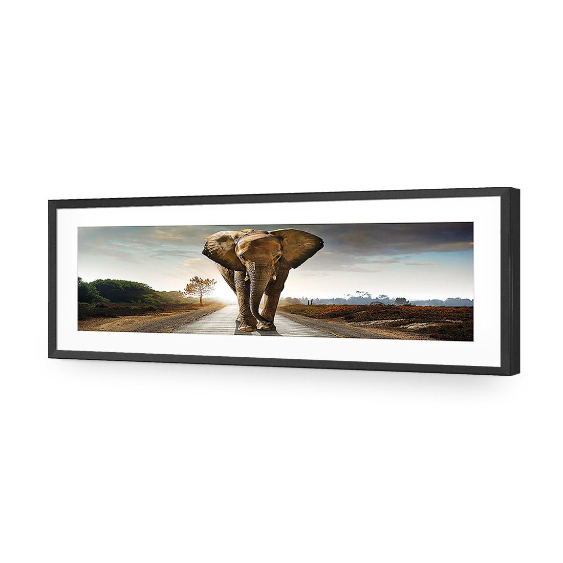 Determined Elephant, Long Acrylic Print Art