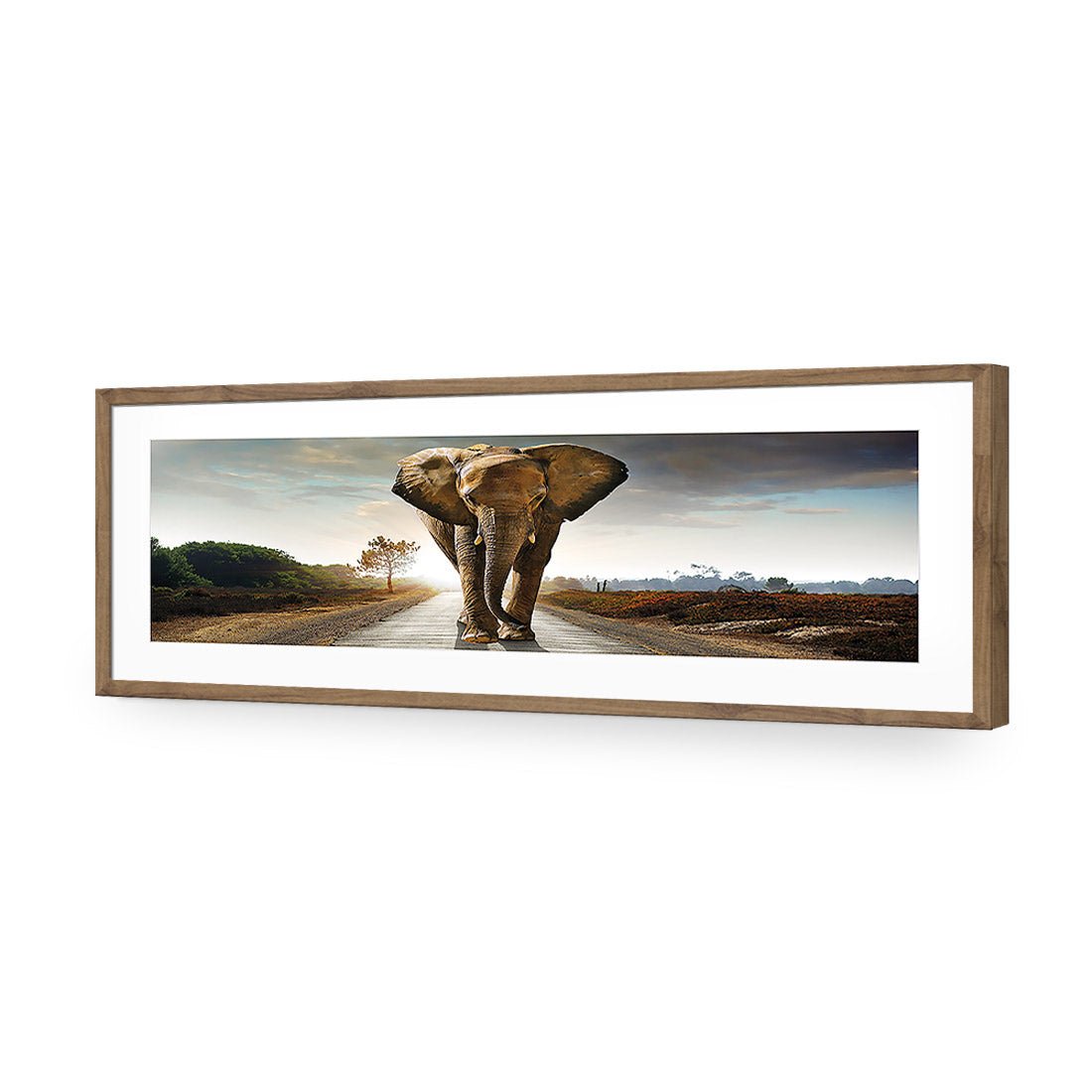 Determined Elephant, Long Acrylic Print Art