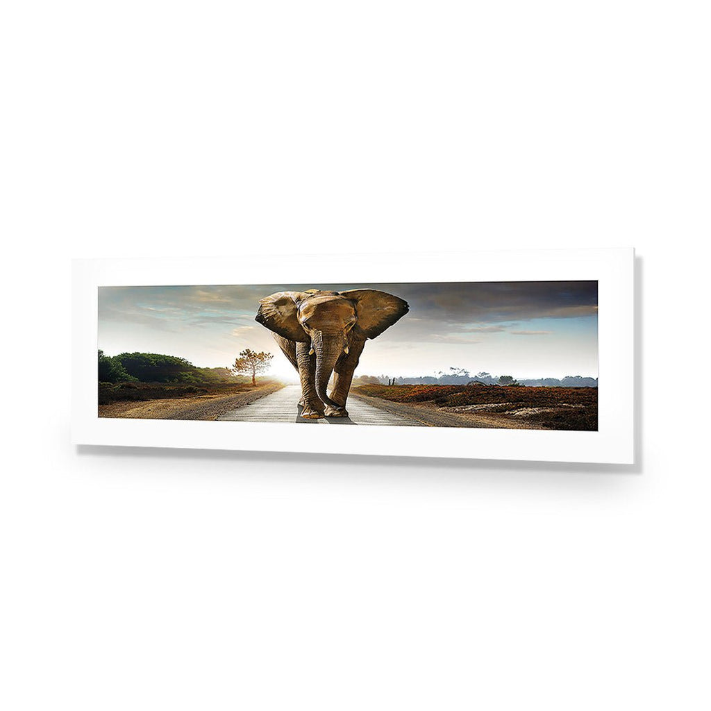 Determined Elephant, Long Acrylic Print Art