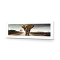 Determined Elephant, Long Acrylic Print Art