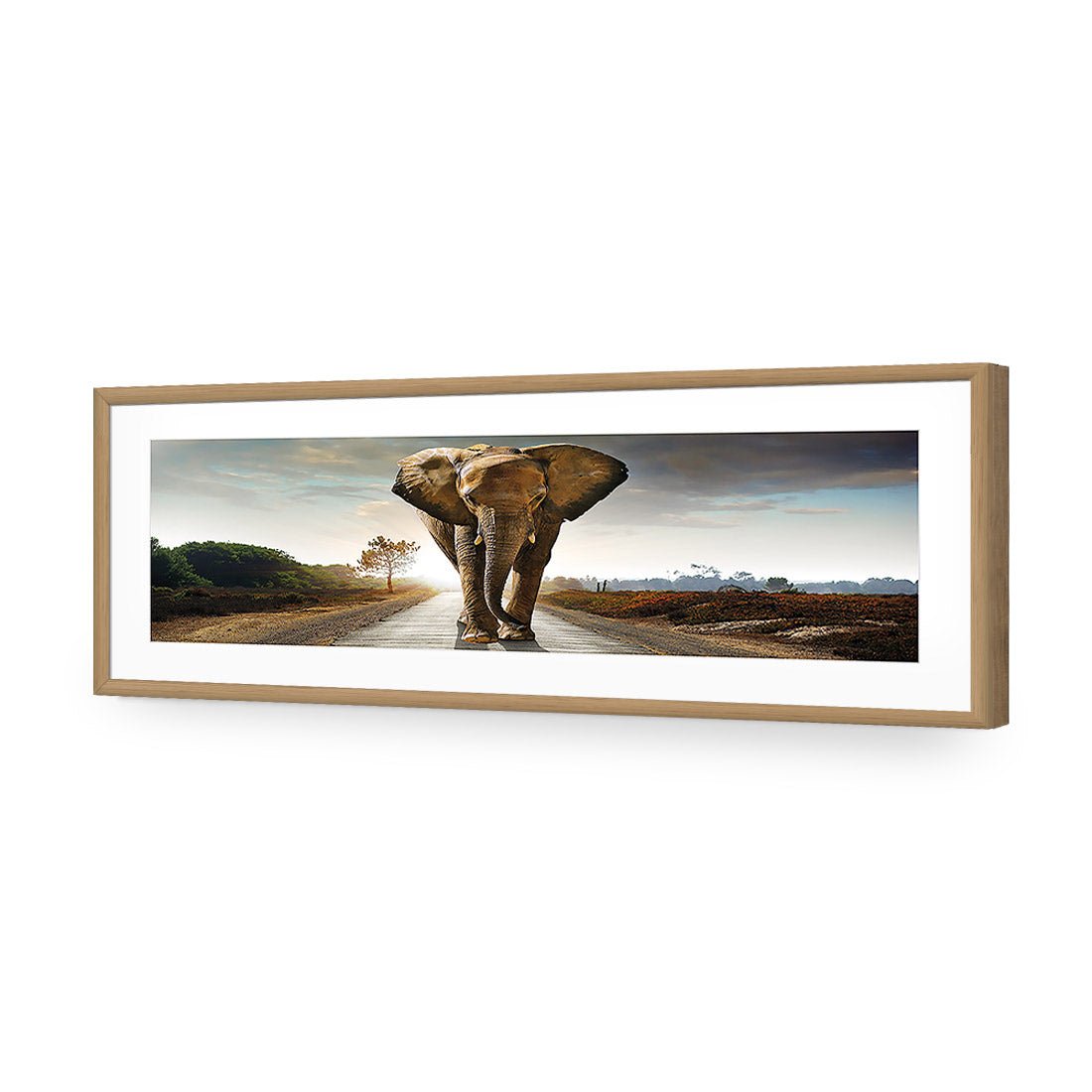 Determined Elephant, Long Acrylic Print Art