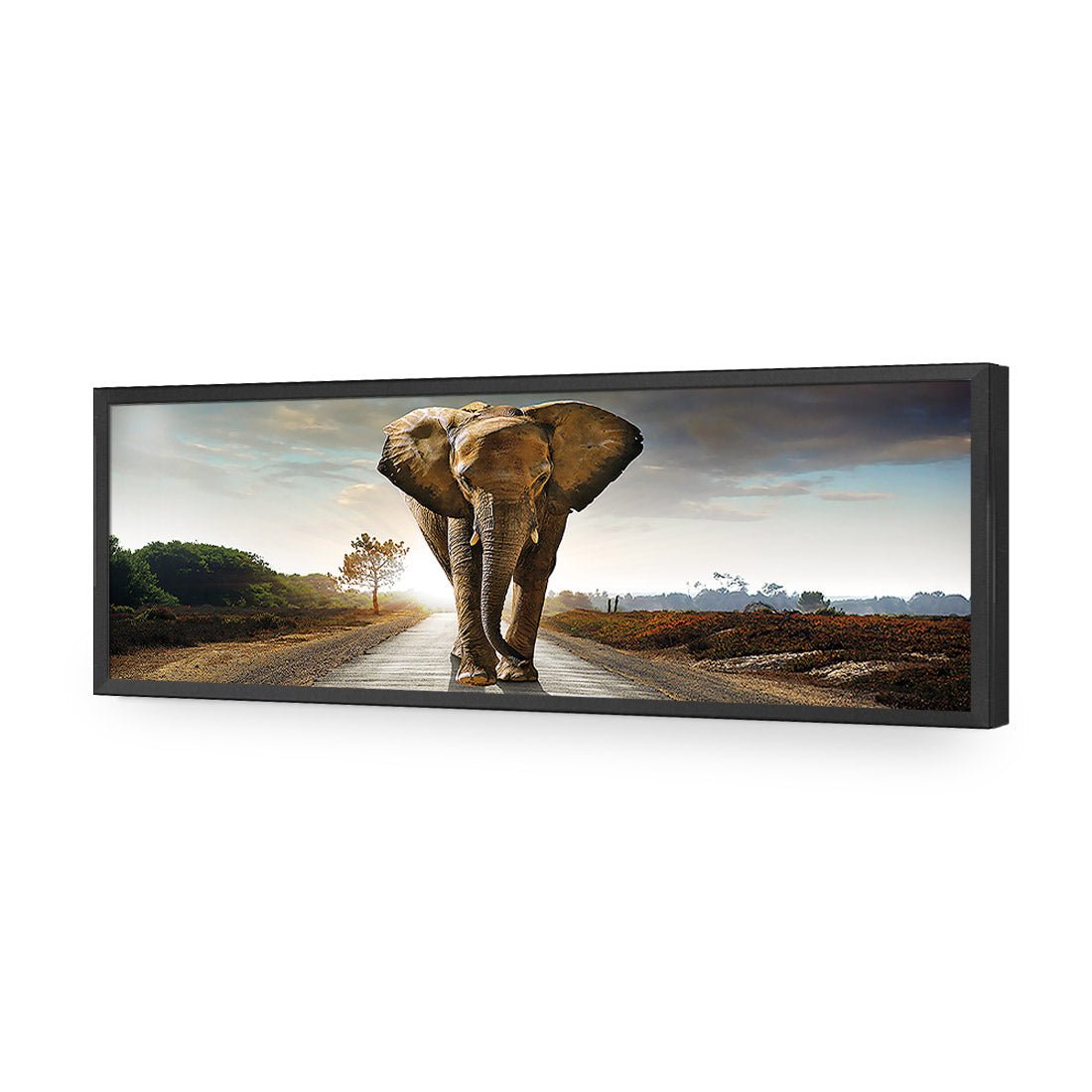 Determined Elephant, Long Acrylic Print Art
