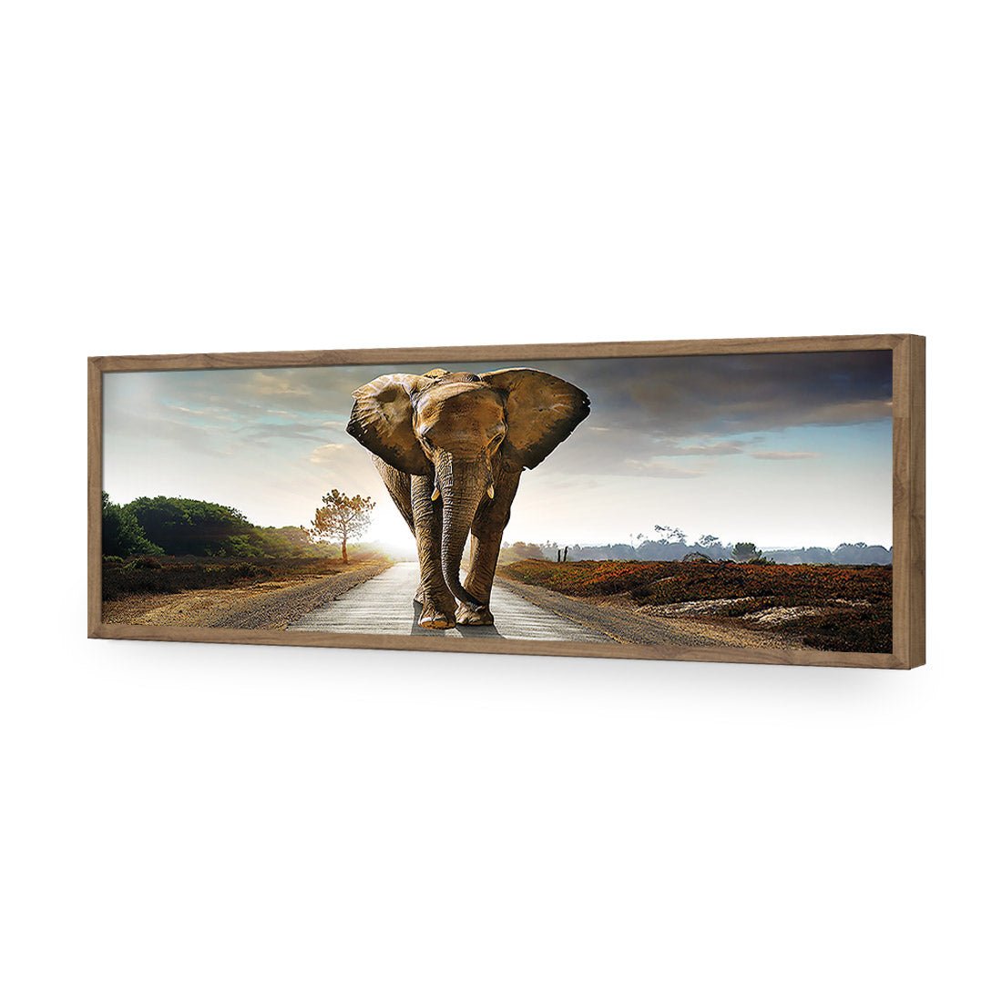 Determined Elephant, Long Acrylic Print Art