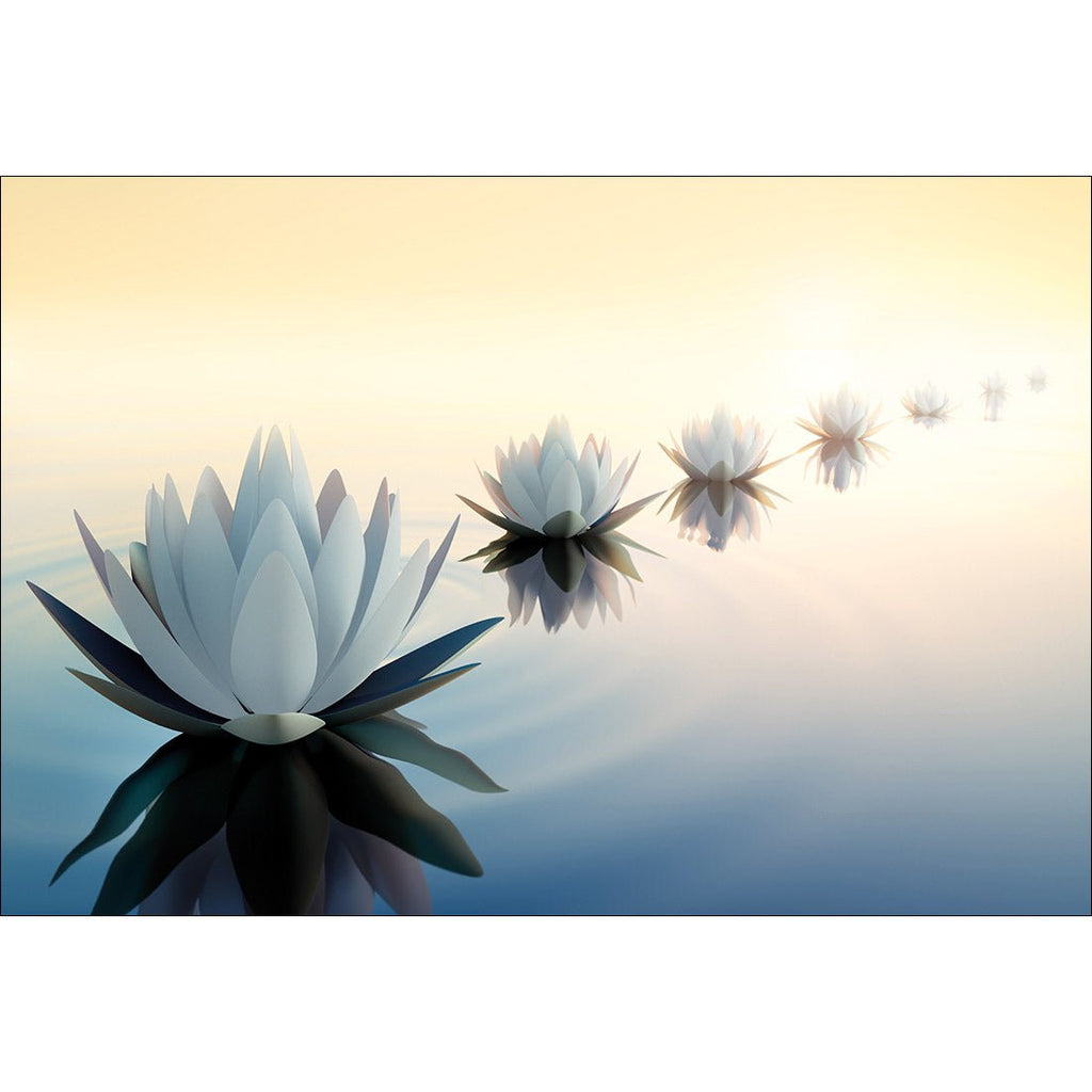 Distant Reflection Canvas Art